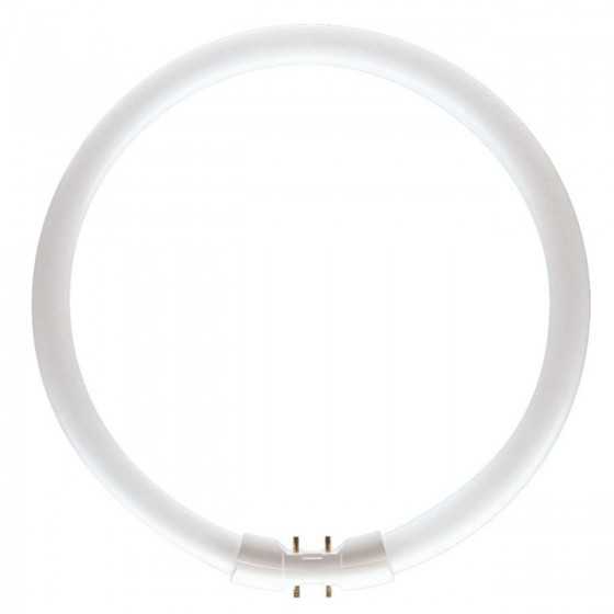 Tub neon fluorescent Circular Osram FC / TL5C 40W/830 2GX13 40W 3300Lm 3000K