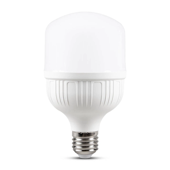 Bec LED Total Green 30W E27 T100 2700Lm 6500K