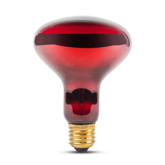 Bec Incandescent Total Green Infrarosu R95 E27 100W Rosu