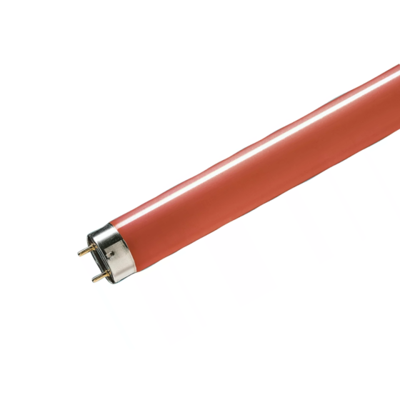 Tub neon fluorescent TL-D  Colored 36W/15  T8 G13 36W 55Lm 150 Red