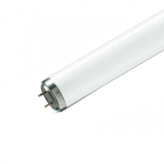 Tub neon fluorescent Philips Actinic BL TL-DK 36W/10 T26 G13 10 Capcane Insecte